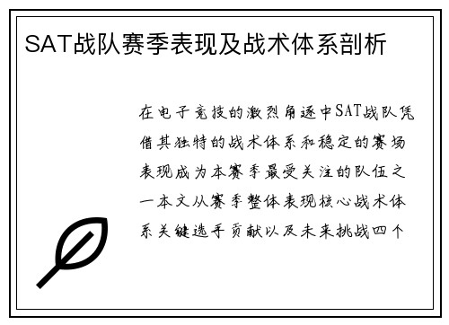 SAT战队赛季表现及战术体系剖析